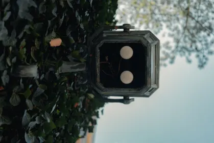 SpinTropolis Casino Mobiilirakendus